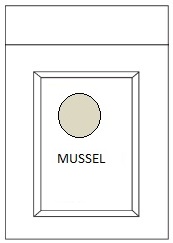 MUSSEL
